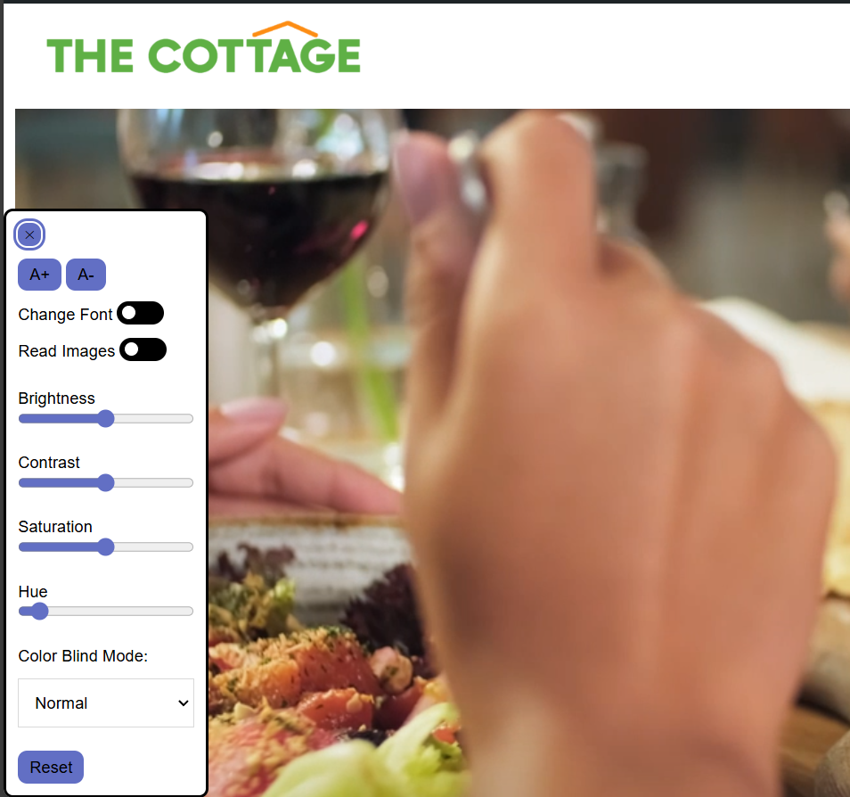 screenshot of showing the the accessibility panel